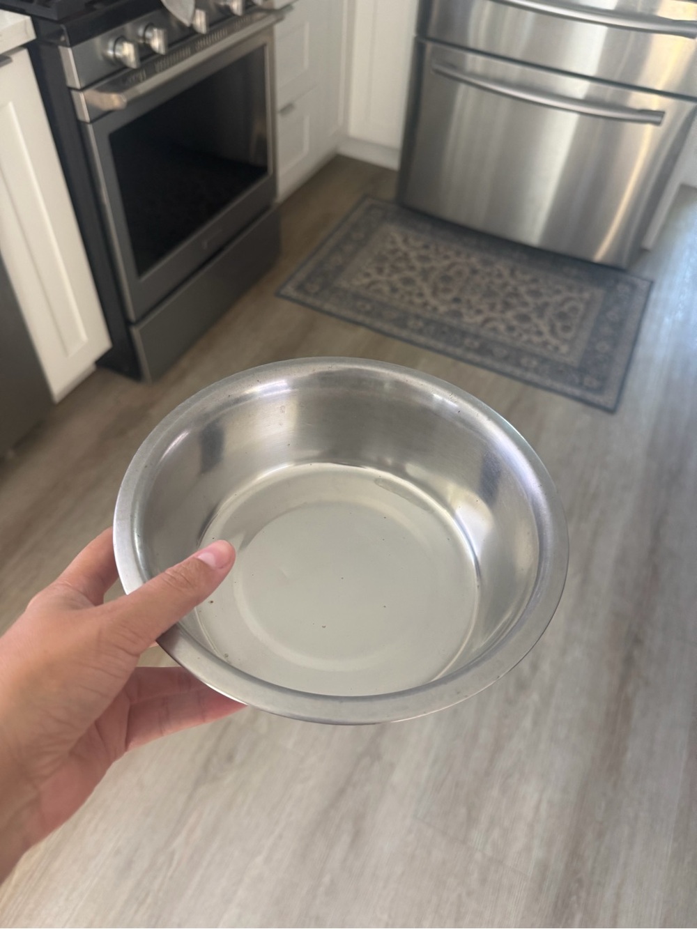 Silver Pet Bowl
